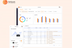 Netspark Speeds Up Projects by 50% with Automation